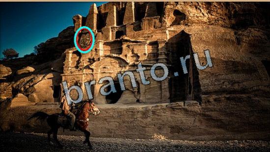 ответы на игру в одноклассниках Где же кот Уровень 5846