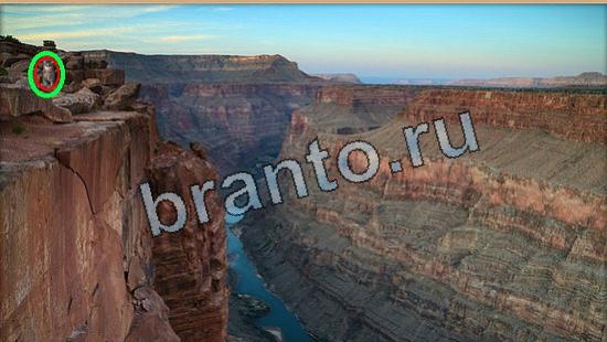 Где же кот? решения Уровень 5852