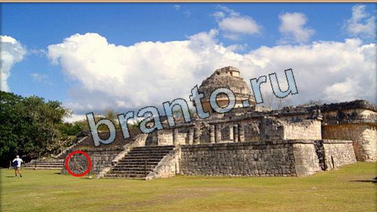 Где же кот ответы в картинках Уровень 5856