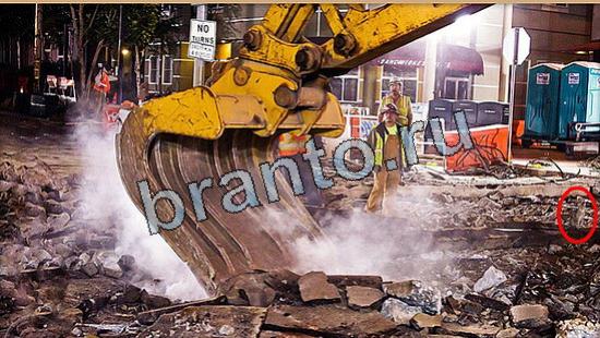 ответы Где же кот Уровень 5865