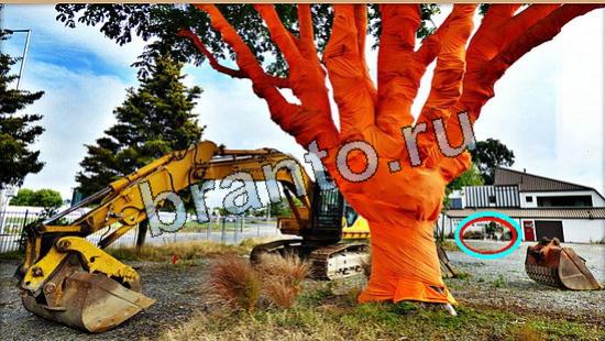 Где же кот игра ответы Уровень 5880