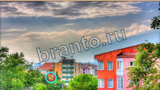 Решения на игру Где же кот Уровень 5923