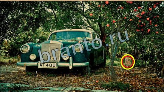 Где же кот? ответы Уровень 5928