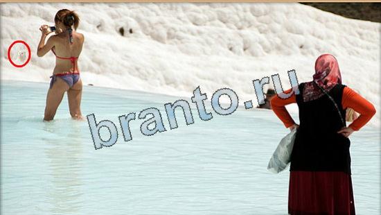 Где же кот? подсказки Уровень 5929