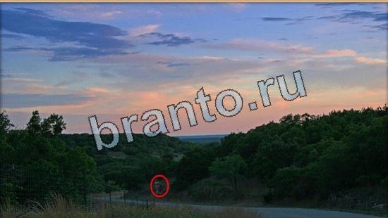 решебник на игру Где же кот Уровень 5931