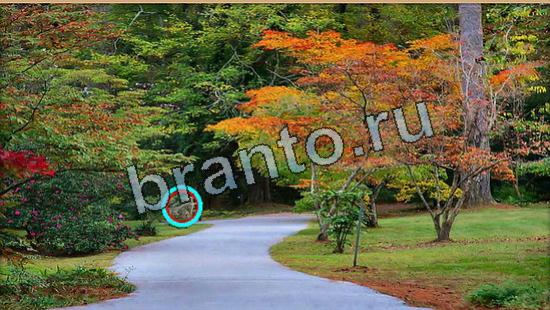 Где же кот игра подсказки Уровень 5934