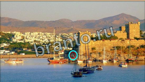 Где же кот игра помощь Уровень 5935