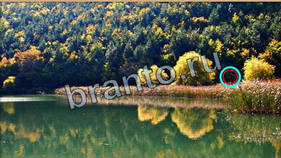 Игра Где же кот подсказки Уровень 5938