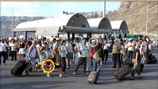 Игра Где же кот прохождение Уровень 5940