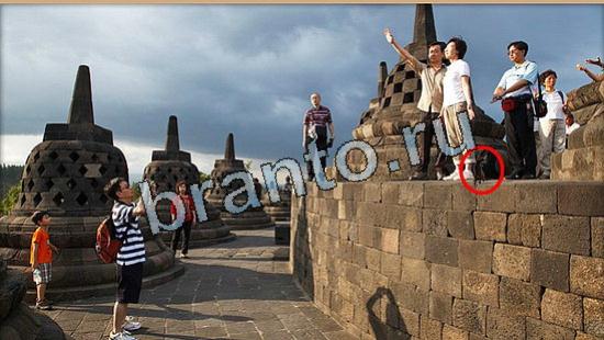 ответы Где же кот? в одноклассниках Уровень 5946