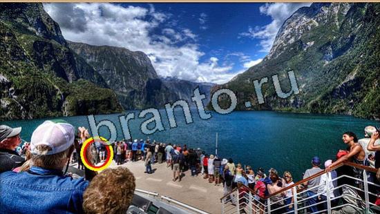 решения для игры Где же кот Уровень 5948