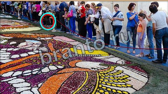 Где же кот помощь в картинках Уровень 5951