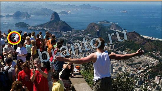 ответы на игру Где же кот в скриншотах Уровень 5952