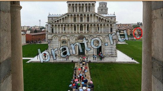 ответы на игру Где же кот Уровень 5956