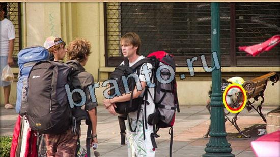 Где же кот ответы в одноклассниках Уровень 5959