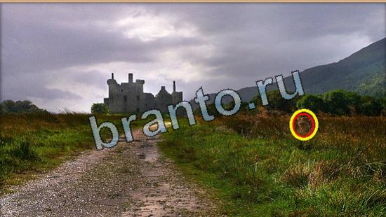 Где же кот игра ответы Уровень 5960