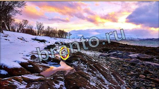 ответы на игру Где же кот Уровень 6041