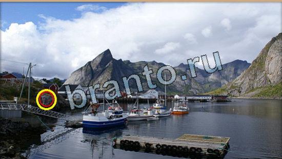 Подсказки на игру Где же кот Уровень 6042