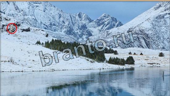 Решения на игру Где же кот Уровень 6043