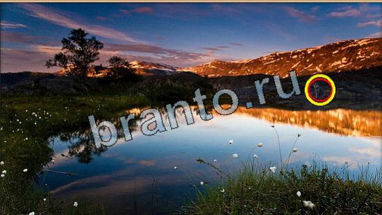 Помощь на игру Где же кот Уровень 6044