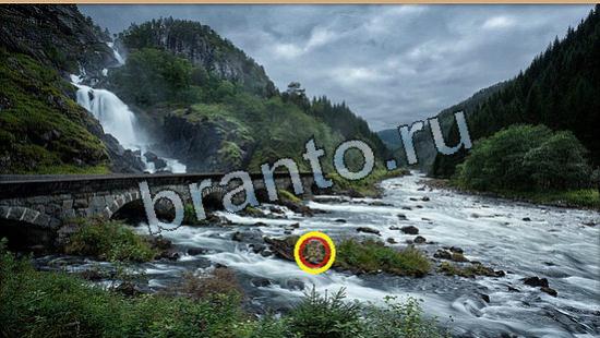 ответы к игре Где же кот Уровень 6045