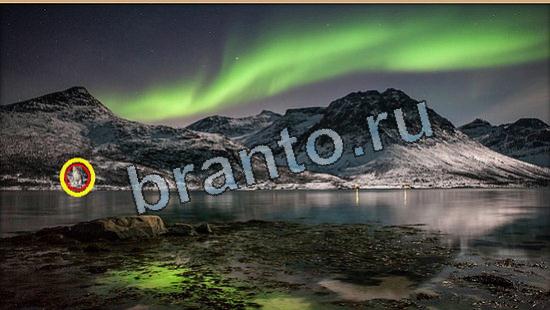 Где же кот игра ответы в одноклассниках Уровень 6047