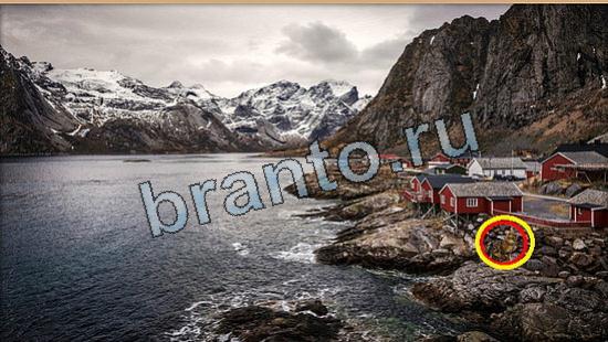 Где же кот? помощь Уровень 6050