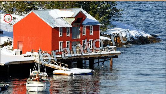 Где же кот игра подсказки Уровень 6054