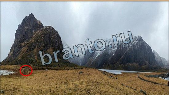 Где же кот игра помощь Уровень 6055