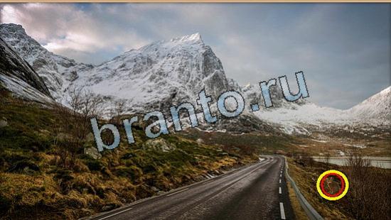 Игра Где же кот ответы Уровень 6057