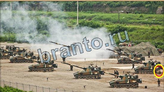 Где же кот прохождение игры Уровень 6062