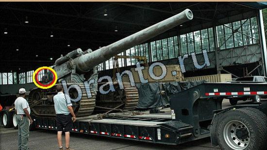 ответы Где же кот? в одноклассниках Уровень 6066