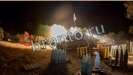 ответы на игру Где же кот Уровень 6074