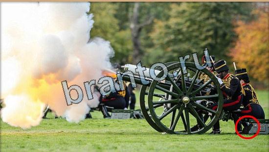 ответы в картинках на игру Где же кот Уровень 6077