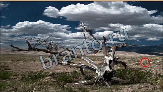 ответы на игру Где же кот Уровень 6081