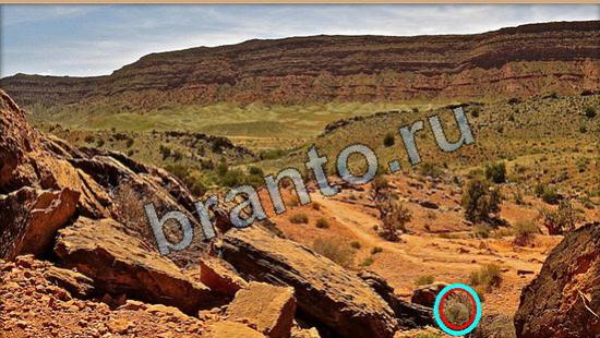 Помощь на игру Где же кот Уровень 6084