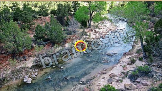 ответы на игру в одноклассниках Где же кот Уровень 6086