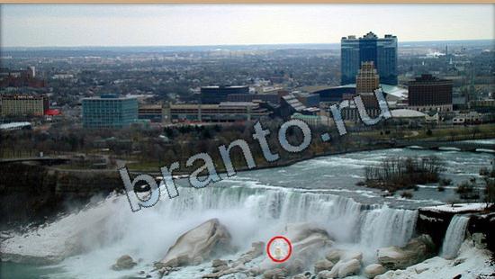 Где же кот игра ответы в одноклассниках Уровень 6087