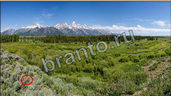 Где же кот? решения Уровень 6092