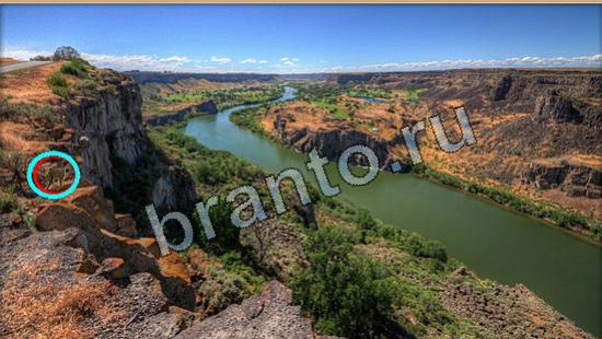 Где же кот ответы в картинках Уровень 6096