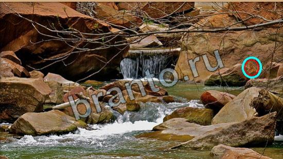 Игра Где же кот подсказки Уровень 6098