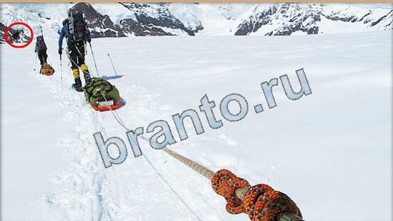 прохождение на игру Где же кот Уровень 6101