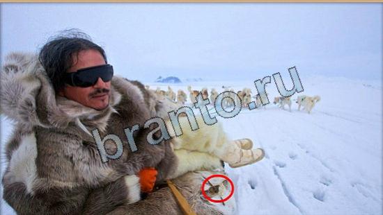 Где же кот прохождение игры Уровень 6102