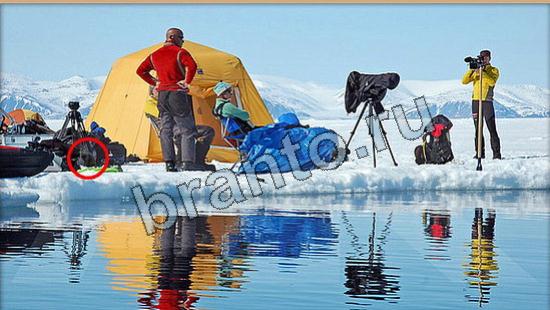 відповіді на игру Где же кот в одноклассниках Уровень 6103