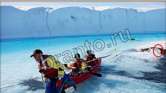 Прохождение игры Где же кот Уровень 6104