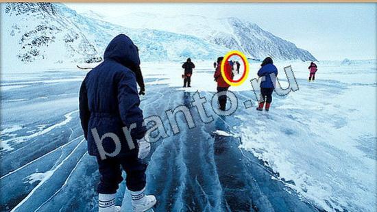 ответы Где же кот Уровень 6105