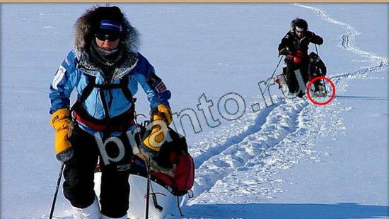 ответы Где же кот? в одноклассниках Уровень 6106