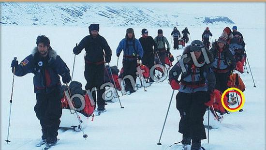 ответы для игры Где же кот Уровень 6107