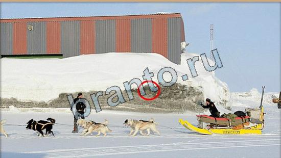 решения для игры Где же кот Уровень 6108