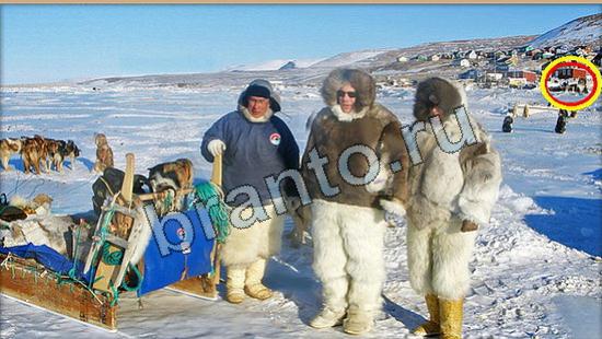 игра в одноклассниках Где же кот ответы Уровень 6110